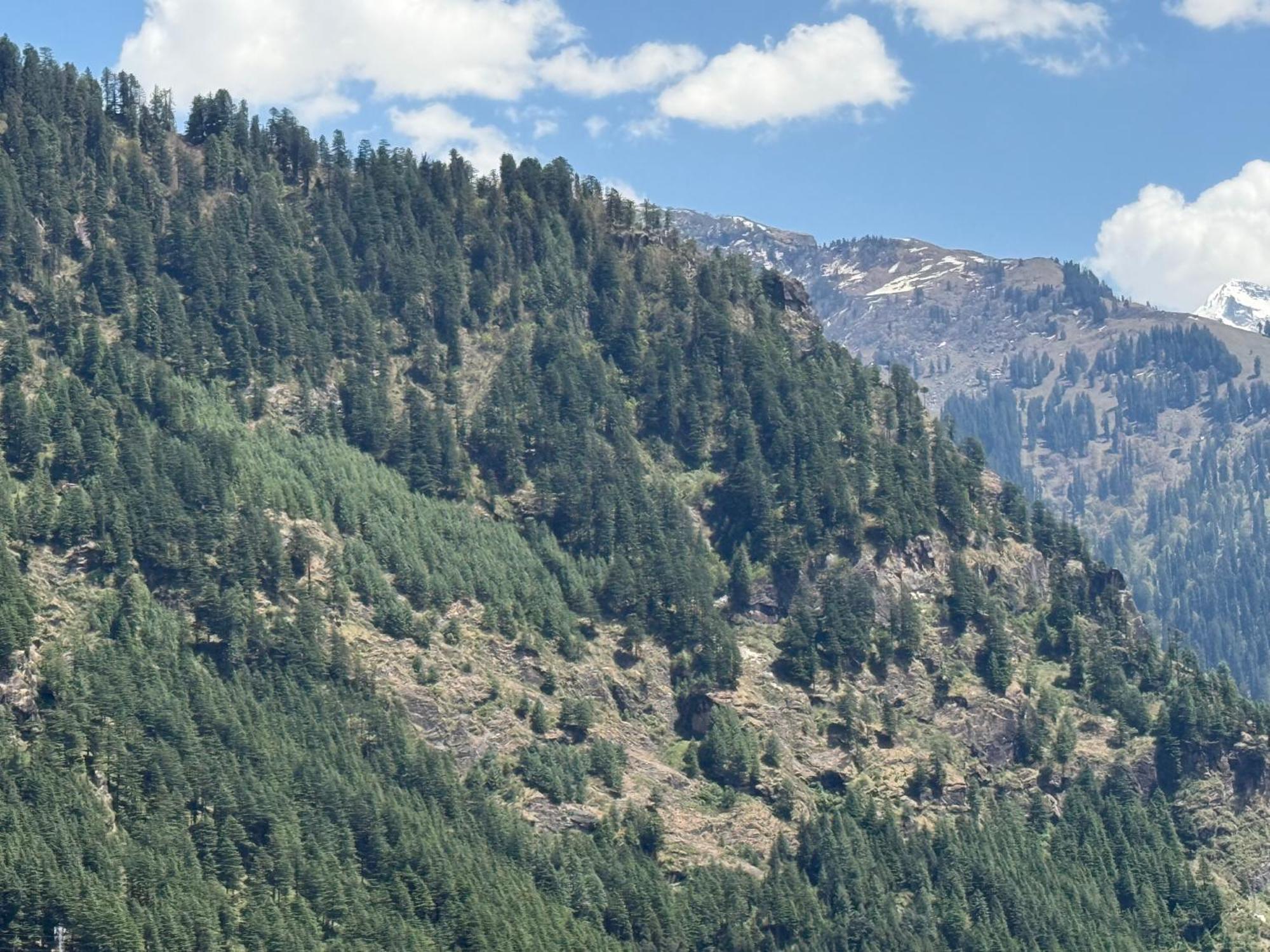 Hotel Alpine Himalayan View , By The Premium 3*