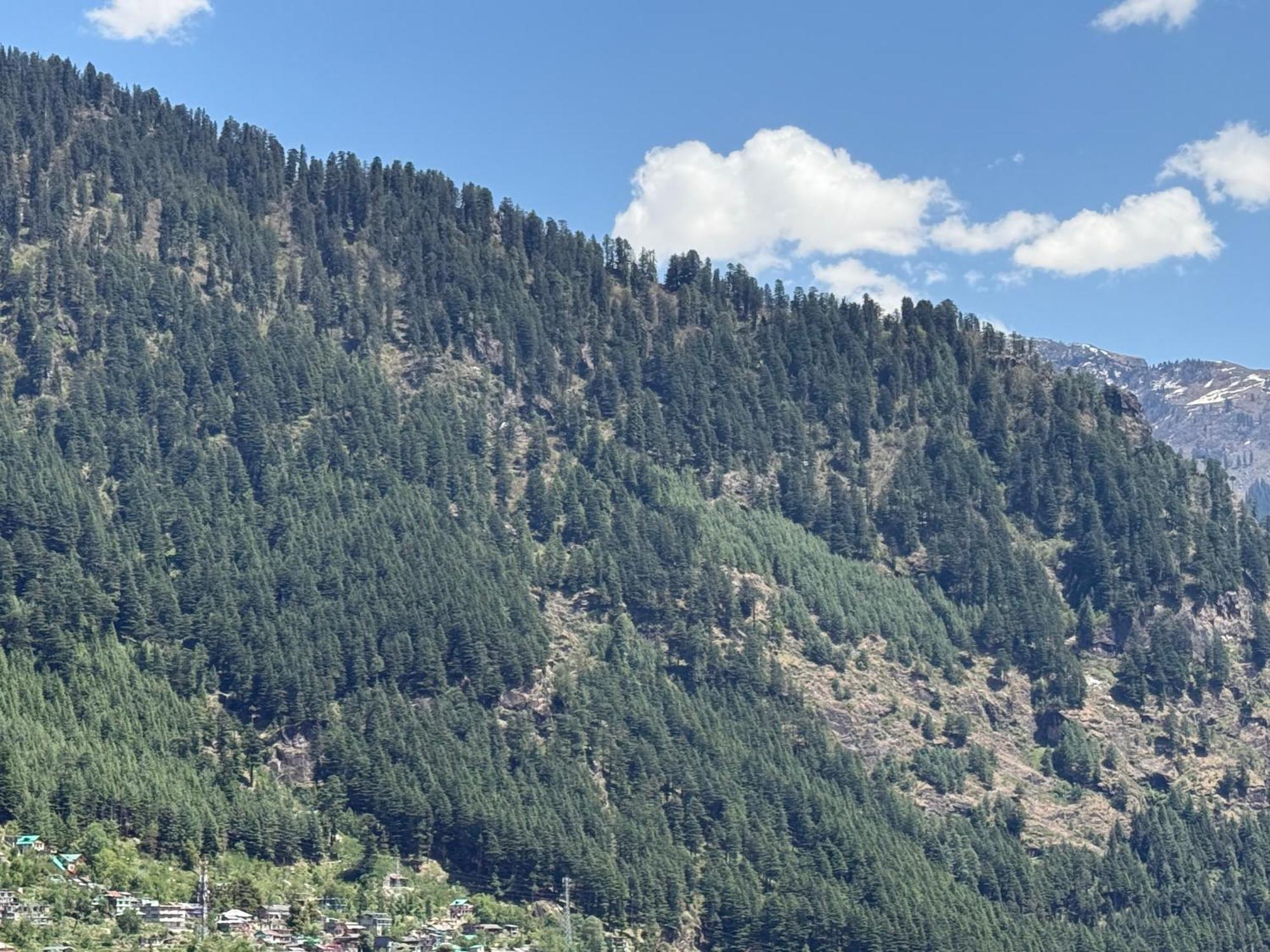 Hotel Alpine Himalayan View , By The Premium